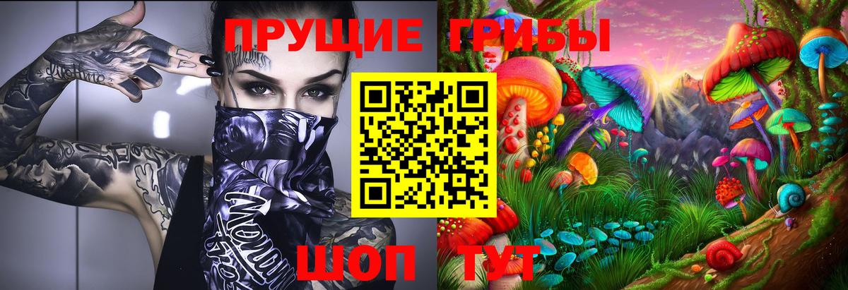 Галлюциногенные грибы MAGIC MUSHROOMS  Вход с VPN  Ленинск-Кузнецкий 